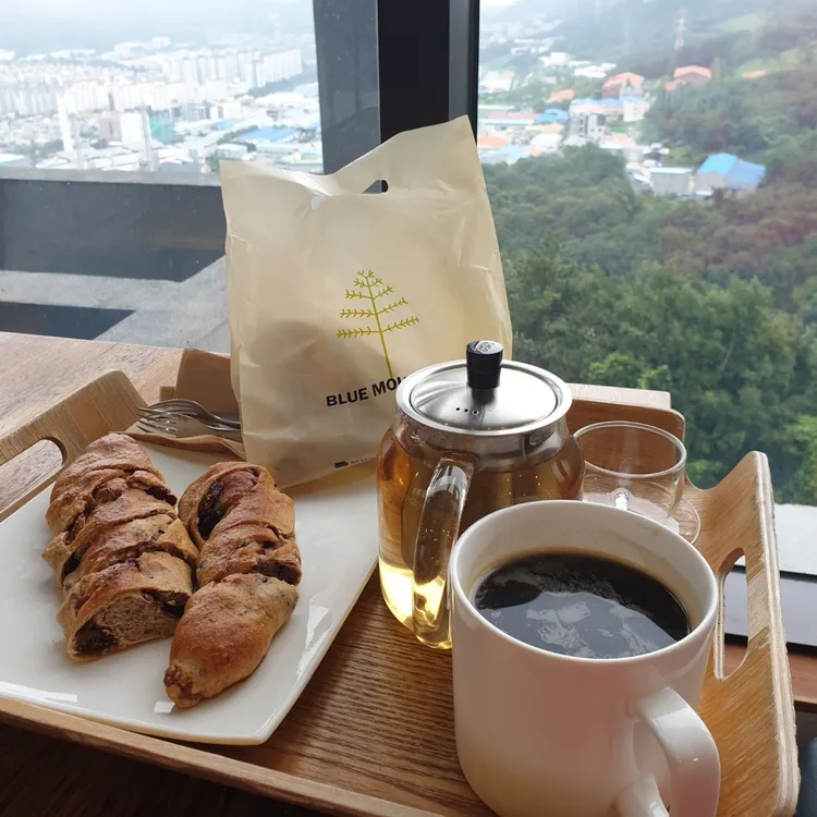 블루마운틴 대표 사진