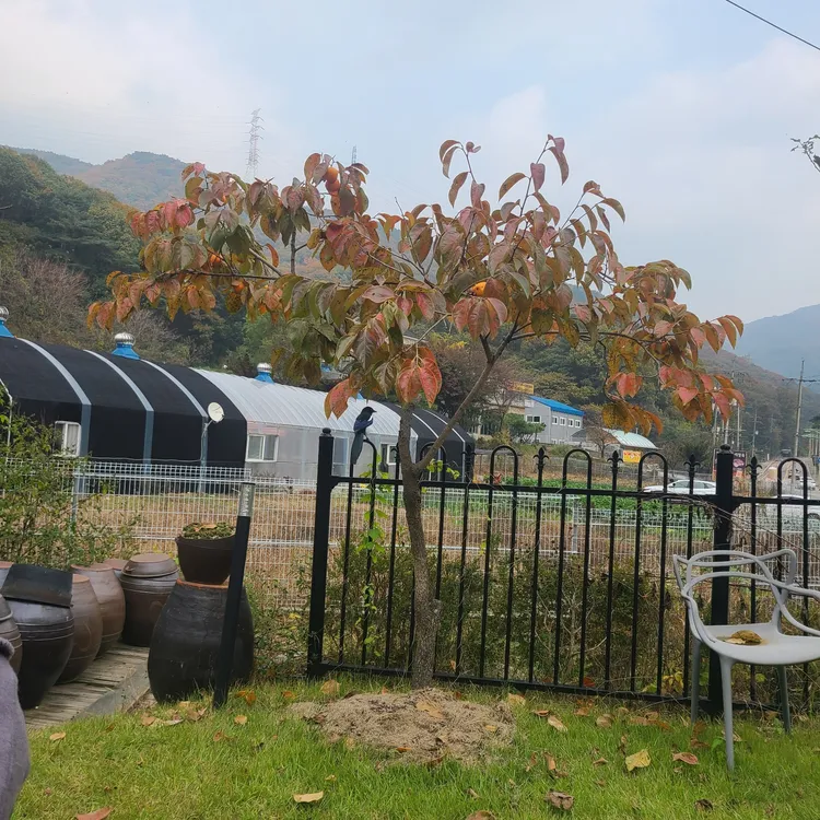 바라봄 대표 사진