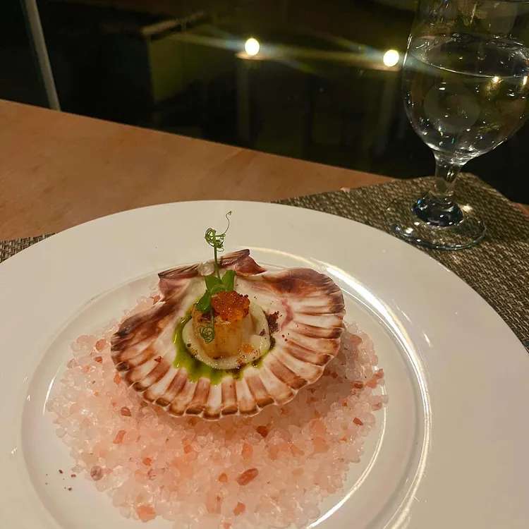 르꼬숑 대표 사진