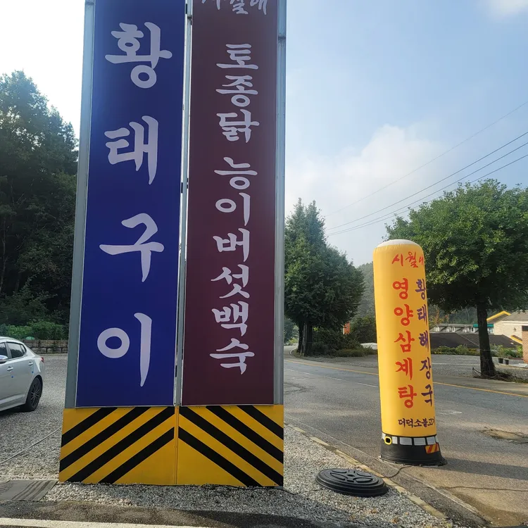 시월애 대표 사진