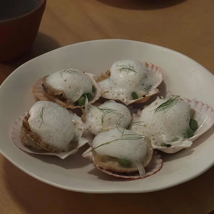 코랄 대표 사진