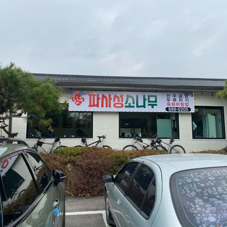 파사성소나무 대표 사진