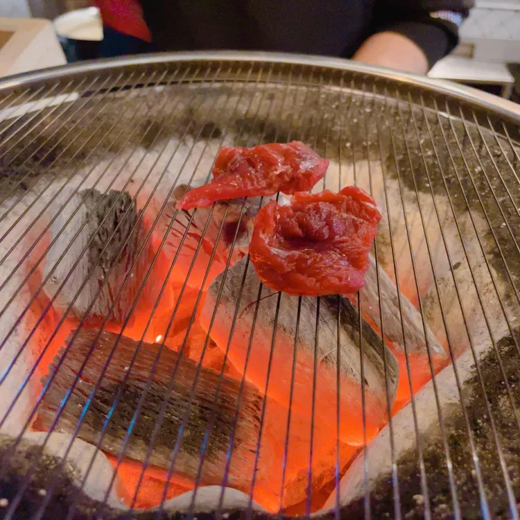 보리 대표 사진