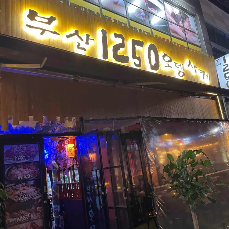1250 대표 사진
