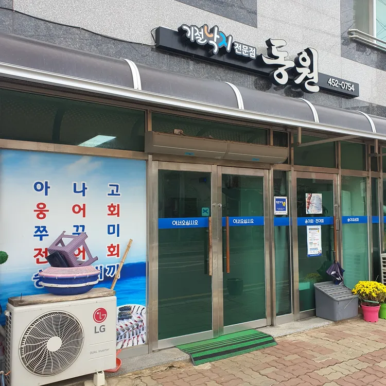 동원 대표 사진