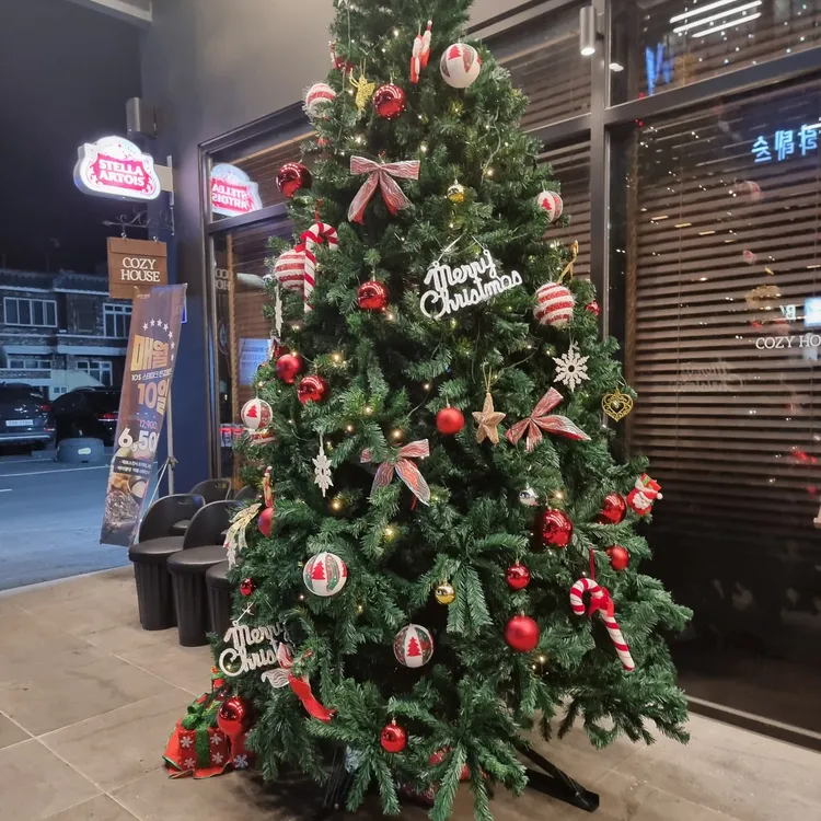 코지하우스 대표 사진