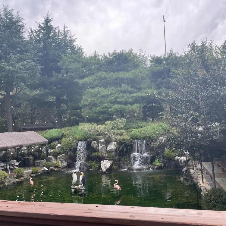 별천지 - 대전 백숙, 오리백숙 맛집 | 다이닝코드, 빅데이터 맛집검색