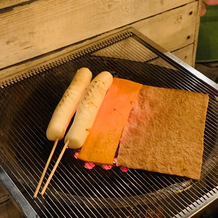 야행성 대표 사진