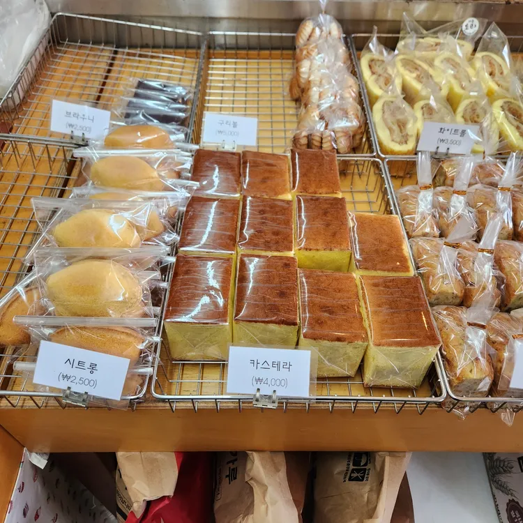 토리 대표 사진