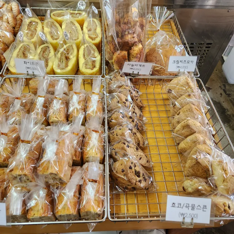 토리 대표 사진