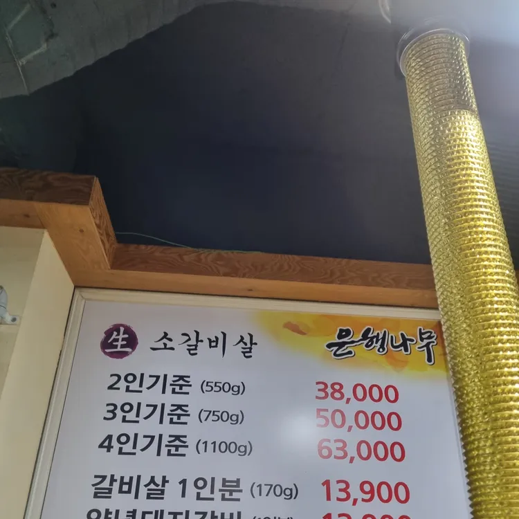 은행나무 갈매기 대표 사진