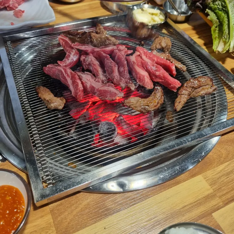 은행나무 갈매기 대표 사진