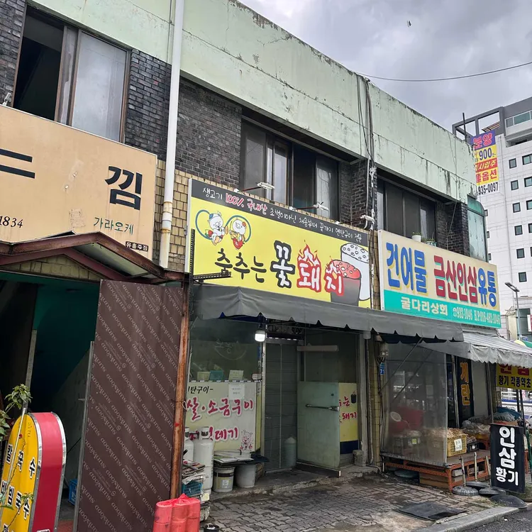 춤추는꽃돼지 대표 사진