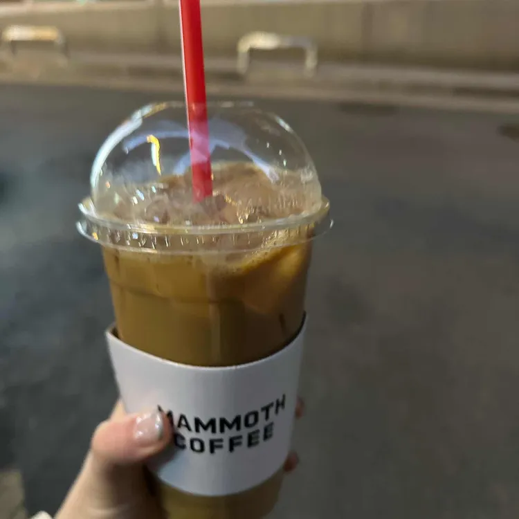 매머드커피 대표 사진