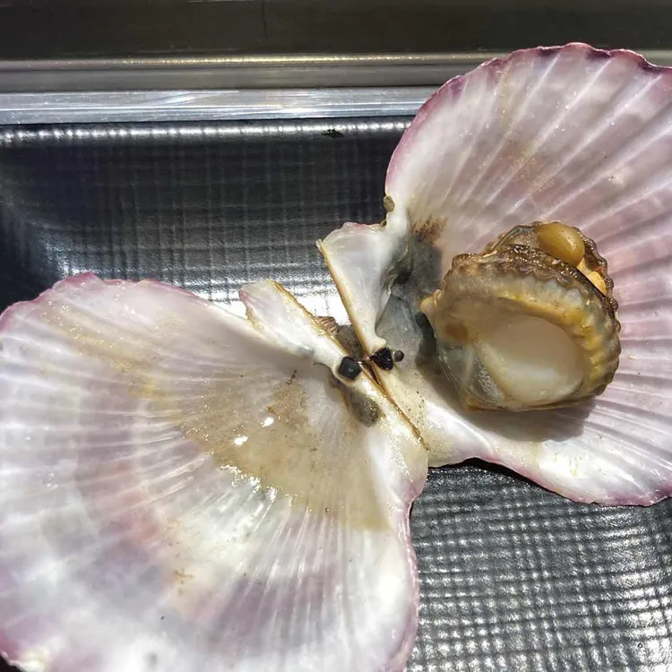 13월의강릉 대표 사진