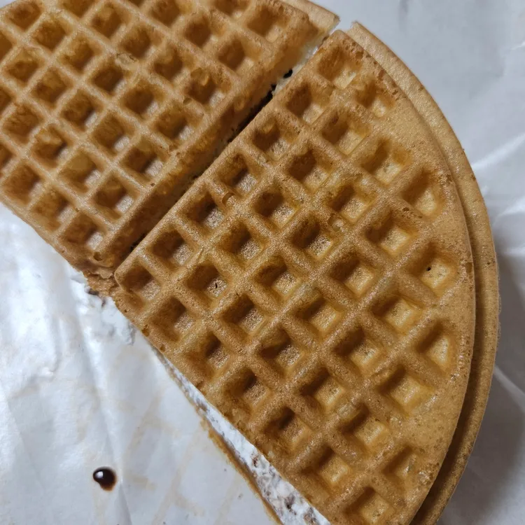 와플대학 대표 사진