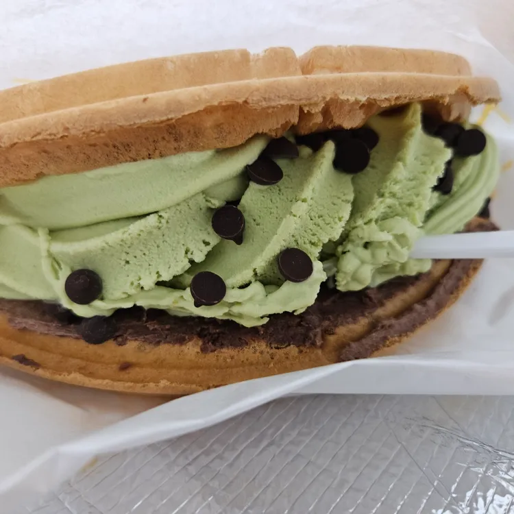 와플대학 대표 사진