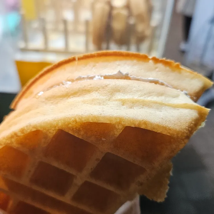 왕풀 대표 사진