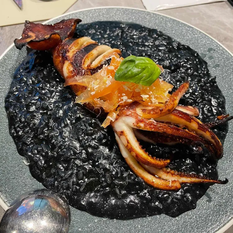 제노아 대표 사진