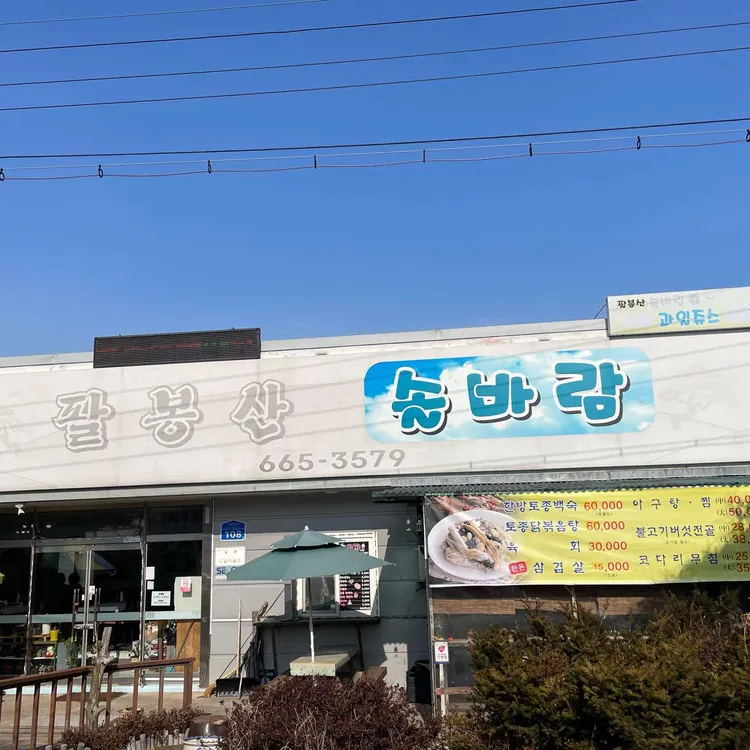 팔봉산 솔바람 대표 사진