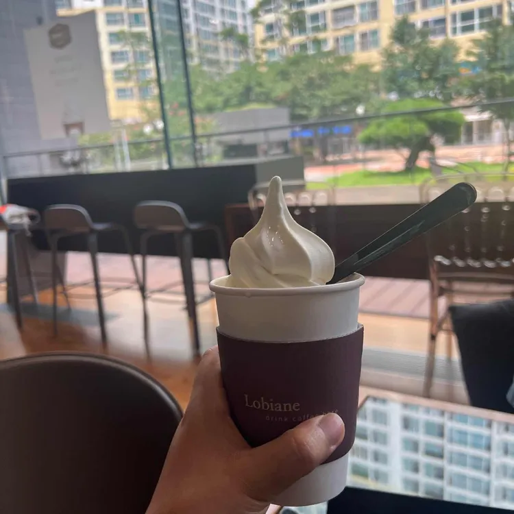로비아네 대표 사진