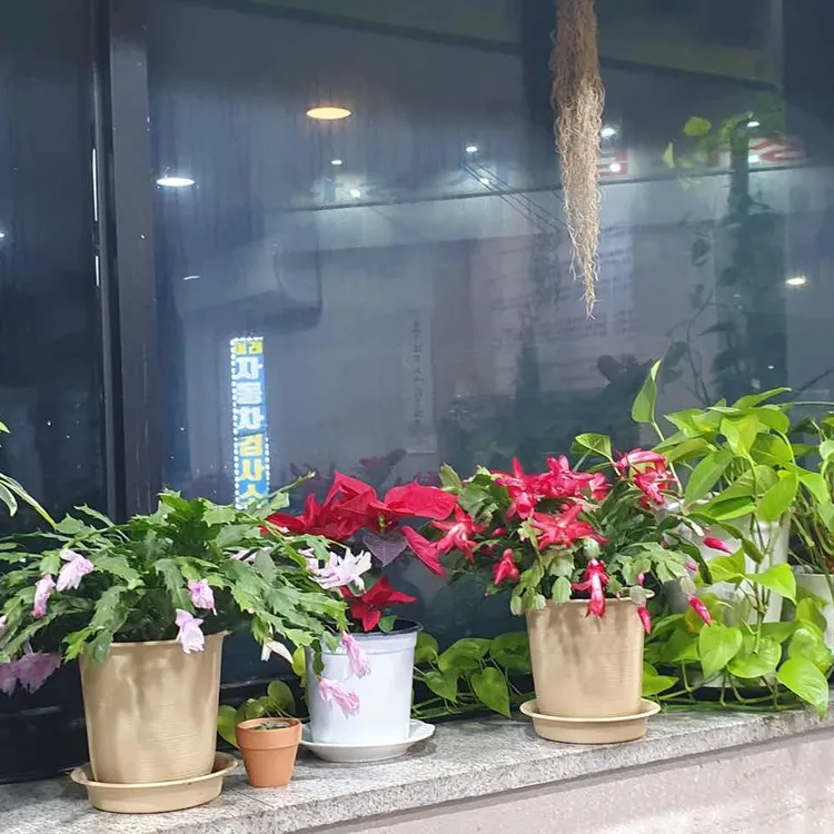 양천골흑염소요리전문점 대표 사진