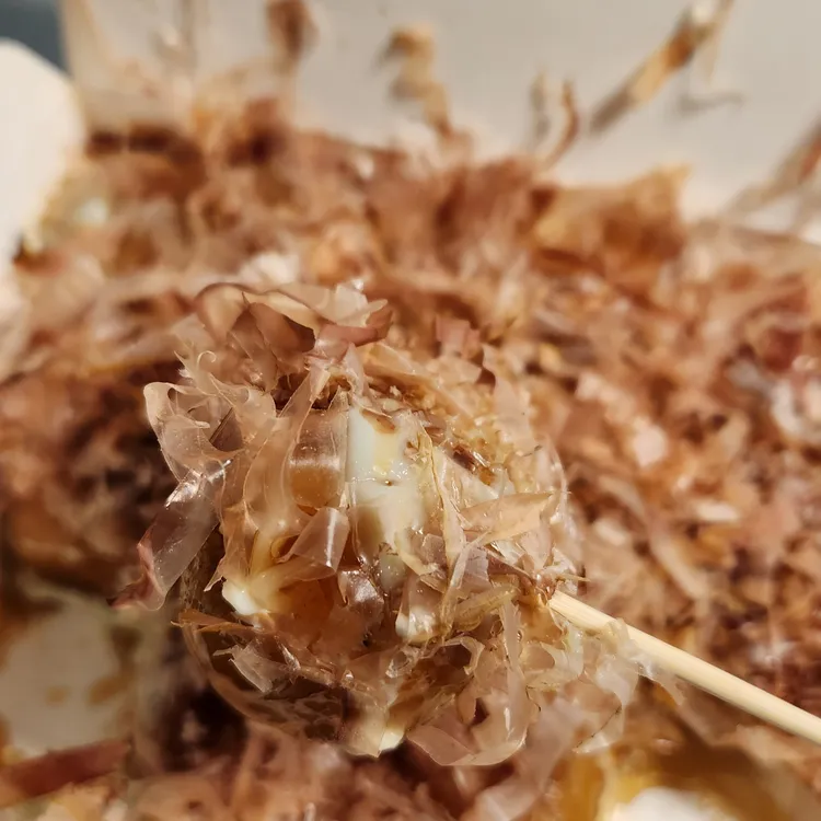 타코비 대표 사진