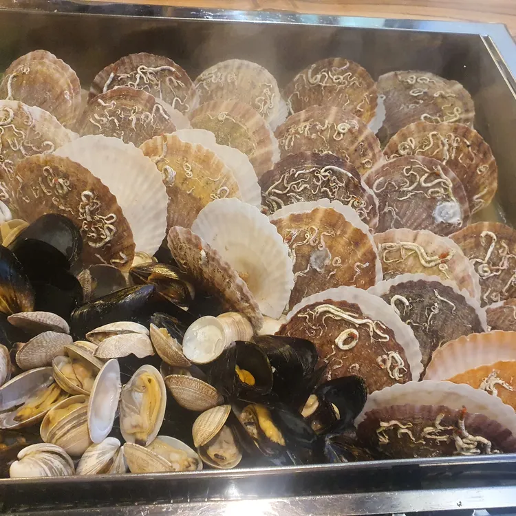 찌마기  대표 사진