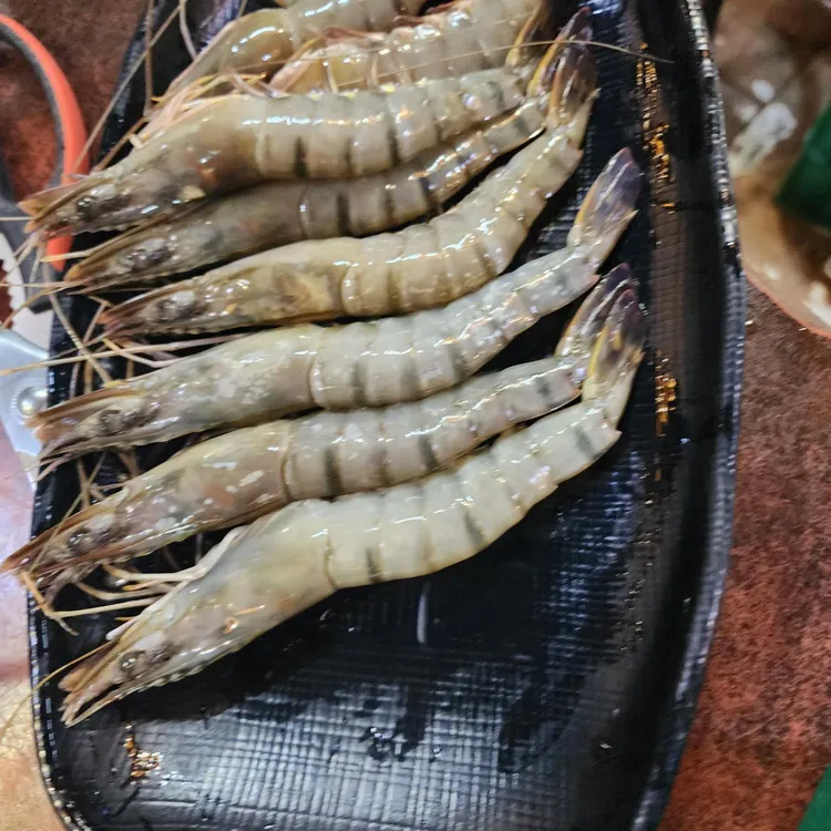 황제꼼장어 대표 사진