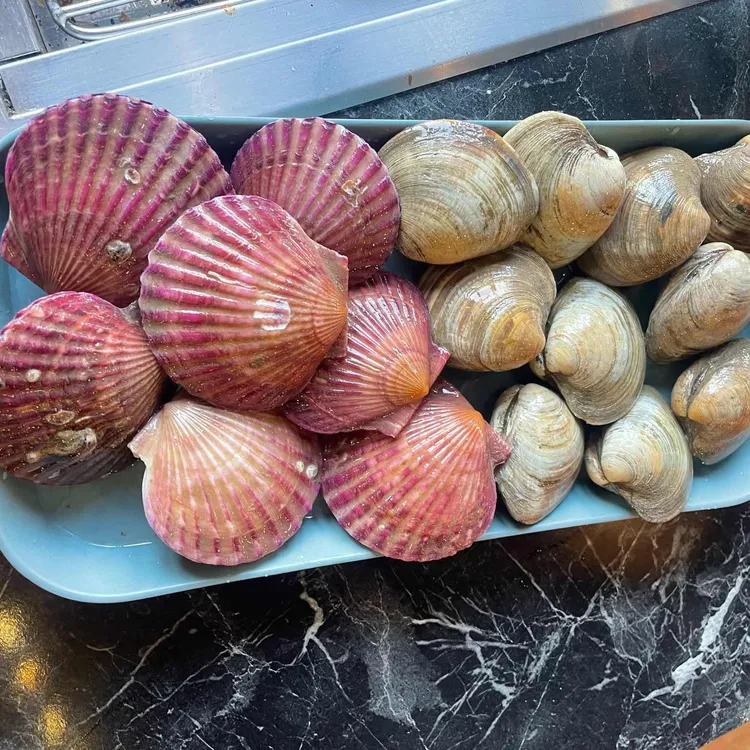 달빛조개 대표 사진