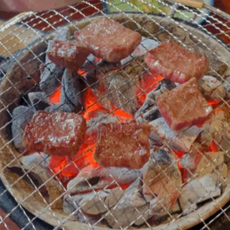 히바치텐 대표 사진