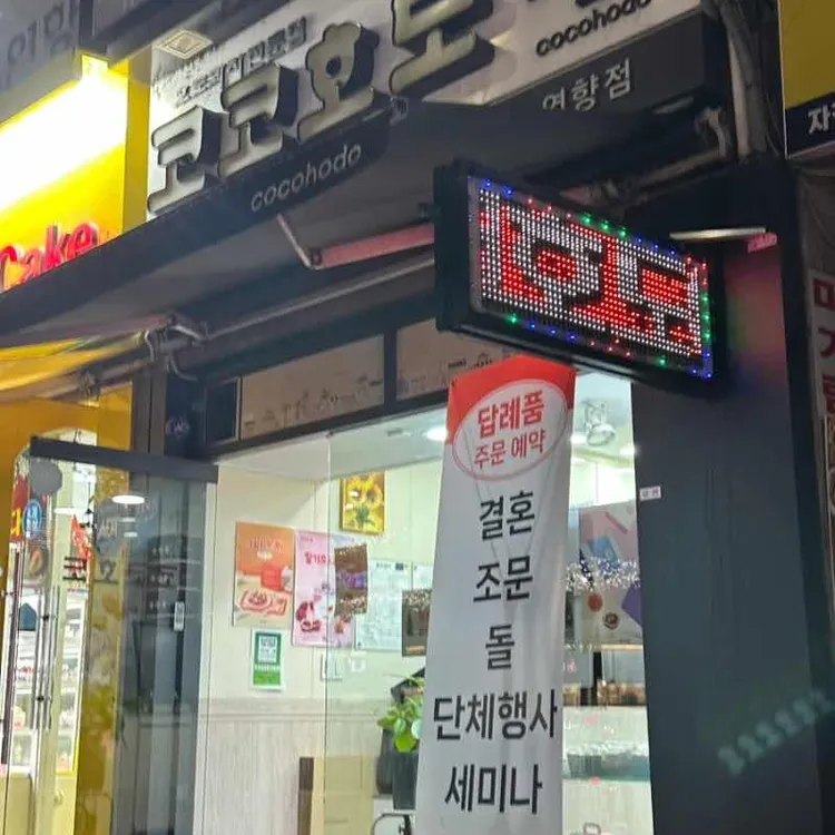 코코호도 대표 사진