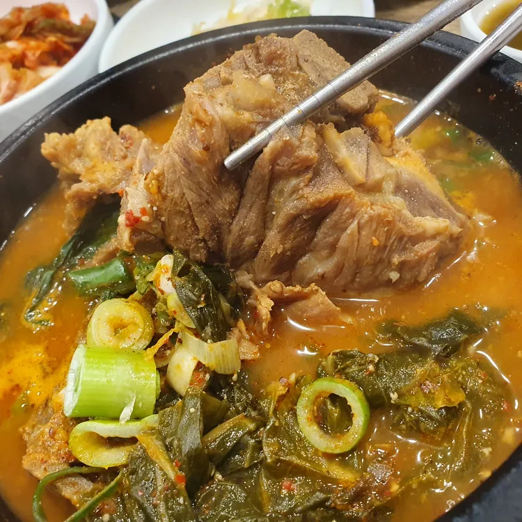 용장군 대표 사진