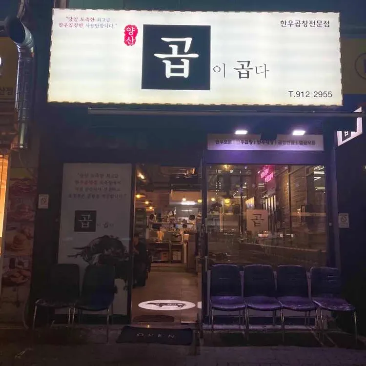 곱이곱다 대표 사진