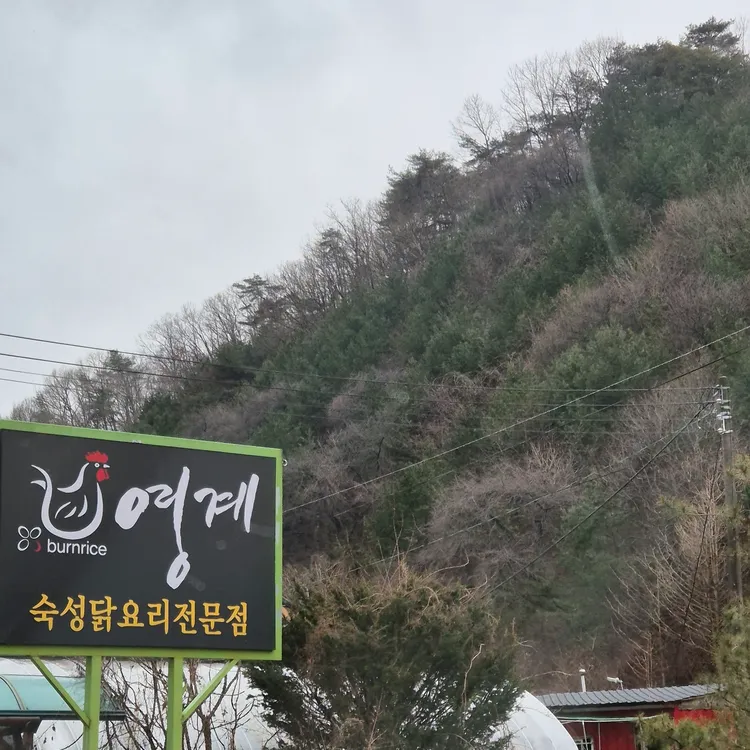 영계 대표 사진