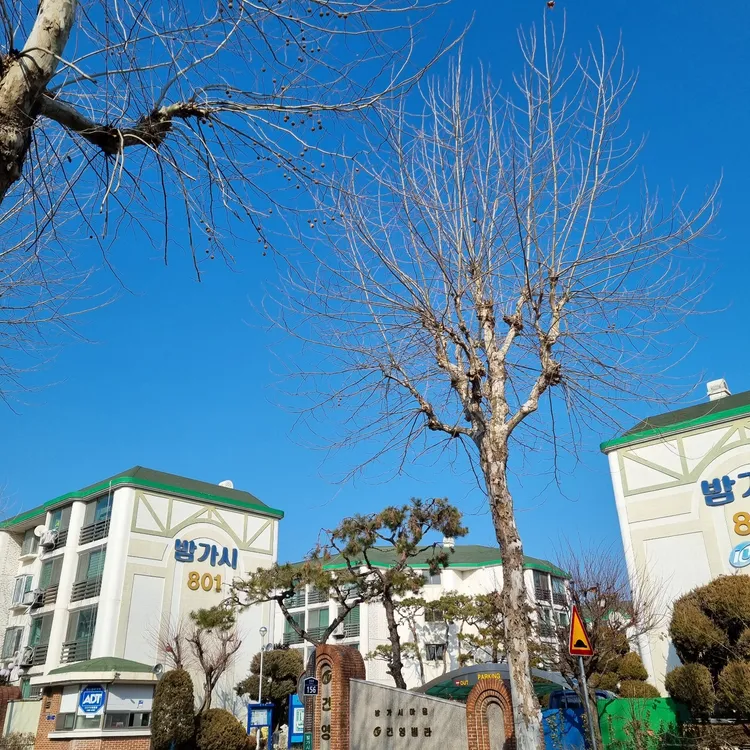 밤리샌드 대표 사진