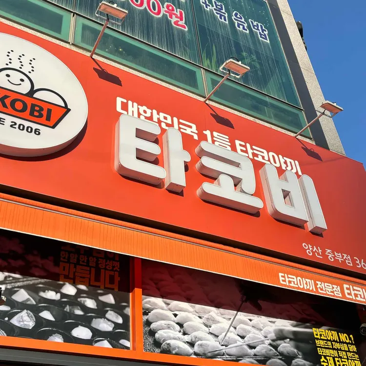 타코비 대표 사진