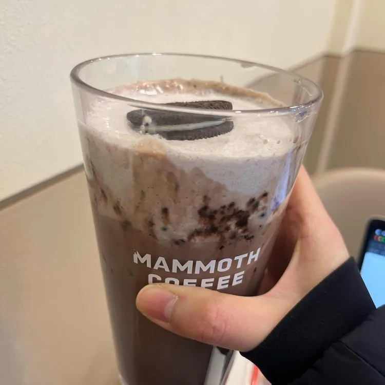 매머드익스프레스 대표 사진
