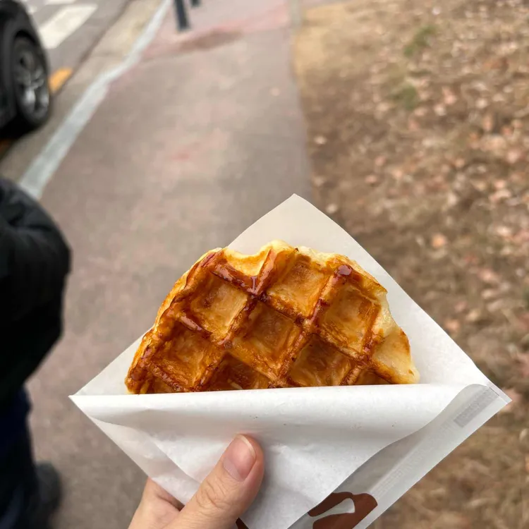 와플반트 대표 사진