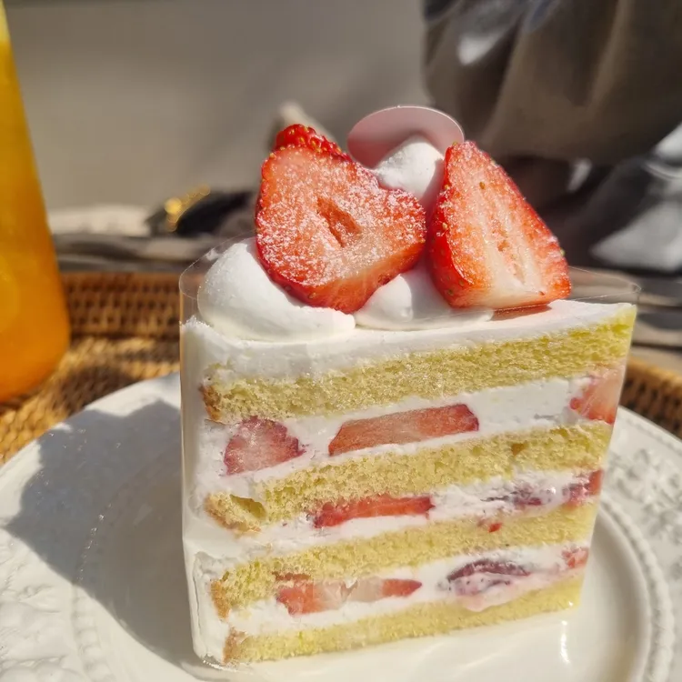 칙투칙 대표 사진