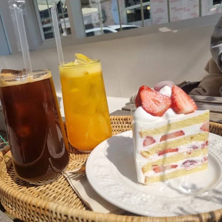 칙투칙 대표 사진