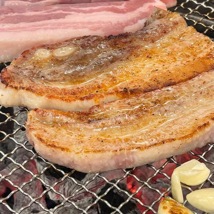 꽃돼지 대표 사진