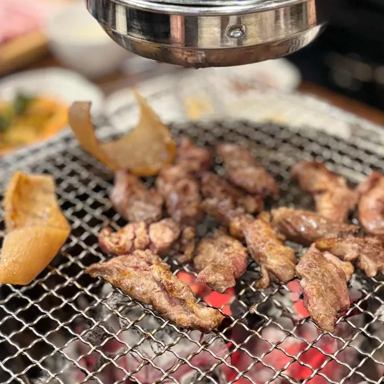 꽃돼지 대표 사진