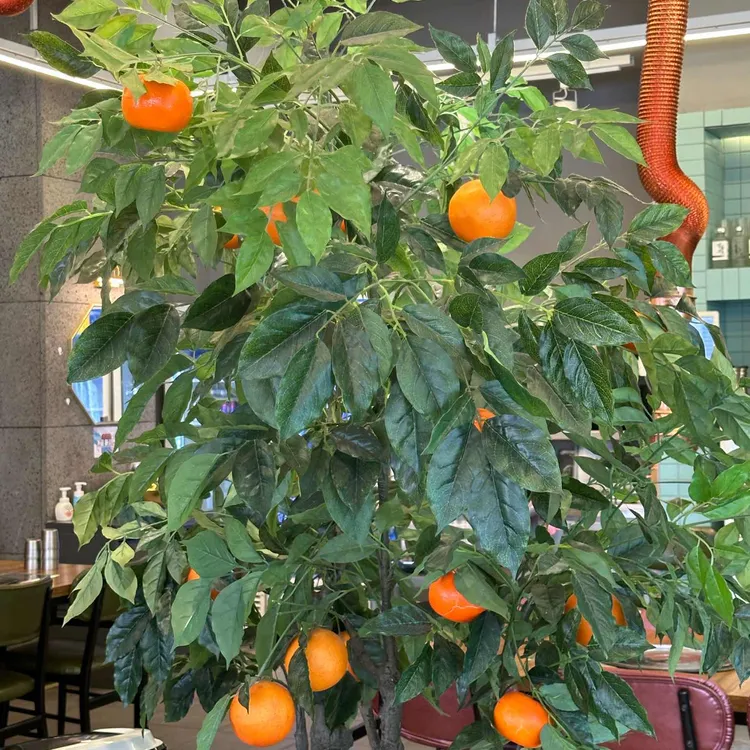 제주그집 대표 사진