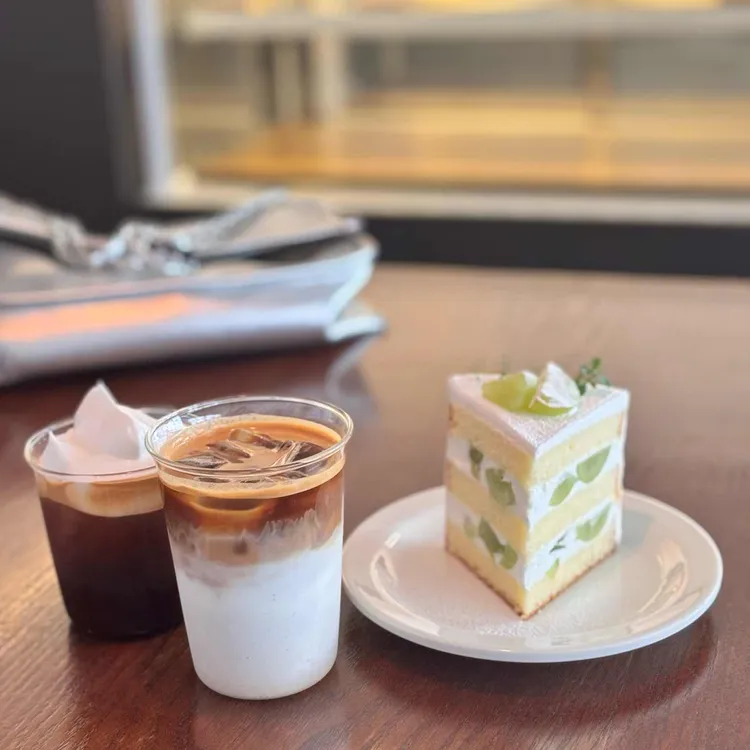 코에 대표 사진