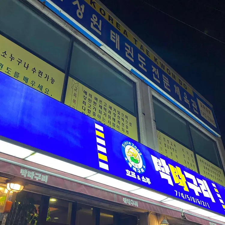 딱따구리 대표 사진