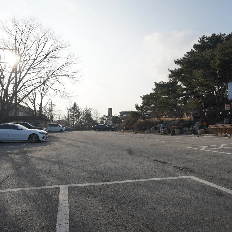 로빈의숲 대표 사진