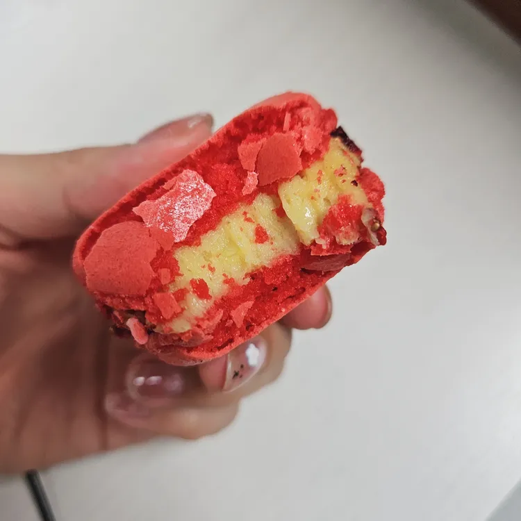 아빠마카롱 대표 사진