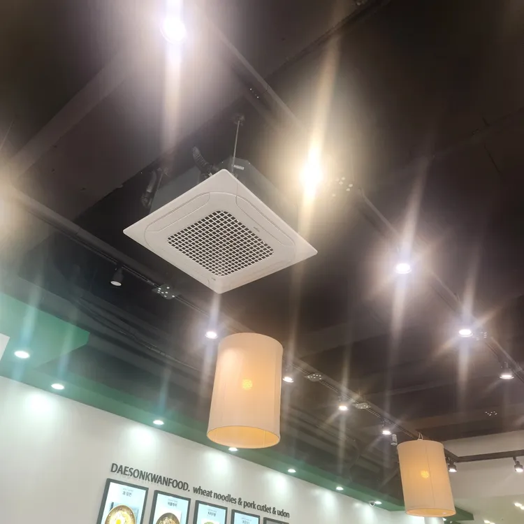 대손관 대표 사진