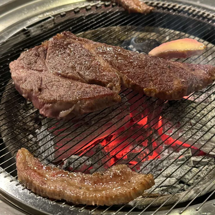 워낭소리 대표 사진
